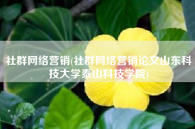 社群网络营销(社群网络营销论文山东科技大学泰山科技学院)