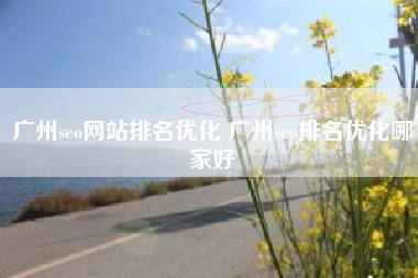 广州seo网站排名优化 广州seo排名优化哪家好