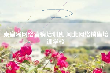 秦皇岛网络营销培训班 河北网络销售培训学校