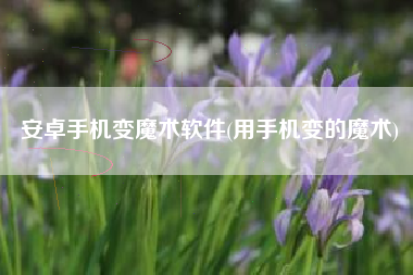 安卓手机变魔术软件(用手机变的魔术)