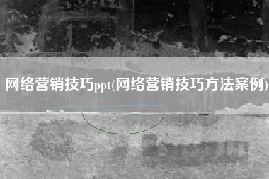 网络营销技巧ppt(网络营销技巧方法案例)