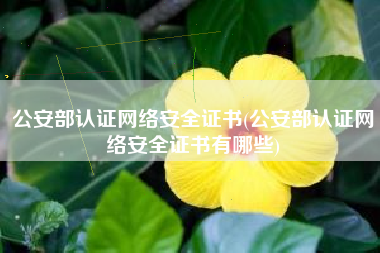 公安部认证网络安全证书(公安部认证网络安全证书有哪些)