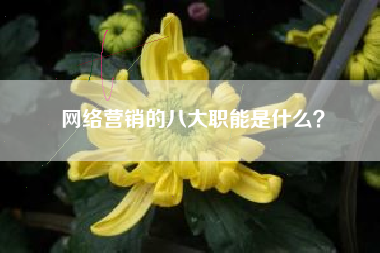 网络营销的八大职能是什么？
