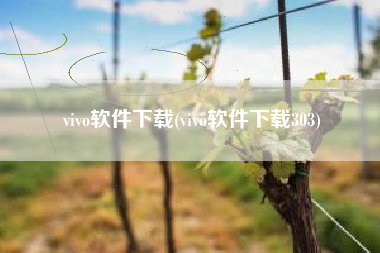 vivo软件下载(vivo软件下载303)