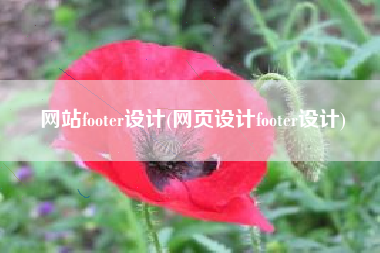 网站footer设计(网页设计footer设计)