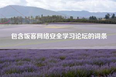 包含饭客网络安全学习论坛的词条