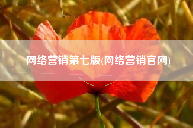 网络营销第七版(网络营销官网)