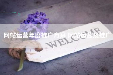 网站运营年度推广方案 网站运营及推广