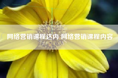 网络营销课程达内 网络营销课程内容
