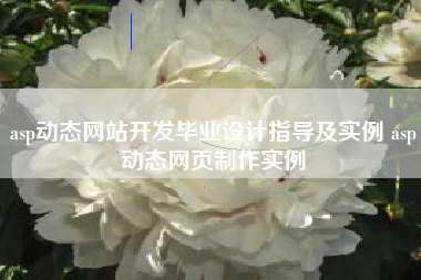 asp动态网站开发毕业设计指导及实例 asp动态网页制作实例