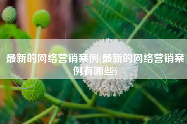 最新的网络营销案例(最新的网络营销案例有哪些)