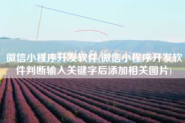 微信小程序开发软件(微信小程序开发软件判断输入关键字后添加相关图片)