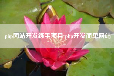 php网站开发练手项目 php开发简单网站