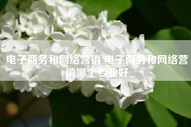 电子商务和网络营销 电子商务和网络营销哪个专业好