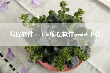 编程软件scratch(编程软件scratch下载)