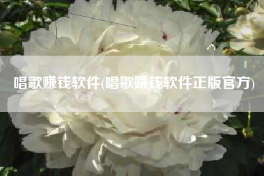 唱歌赚钱软件(唱歌赚钱软件正版官方)