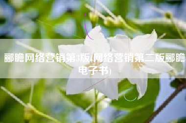 郦瞻网络营销第3版(网络营销第二版郦瞻电子书)
