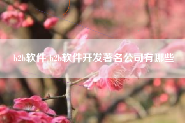 b2b软件 b2b软件开发著名公司有哪些