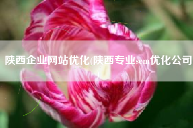 陕西企业网站优化(陕西专业sem优化公司)