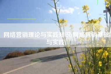 网络营销理论与实践知识(网络营销基础与实践)