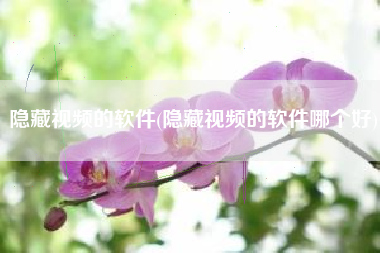 隐藏视频的软件(隐藏视频的软件哪个好)