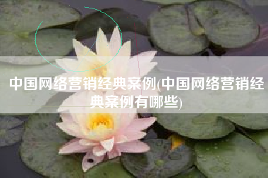 中国网络营销经典案例(中国网络营销经典案例有哪些)