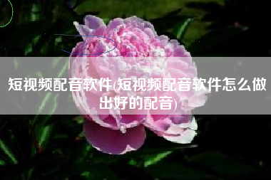 短视频配音软件(短视频配音软件怎么做出好的配音)