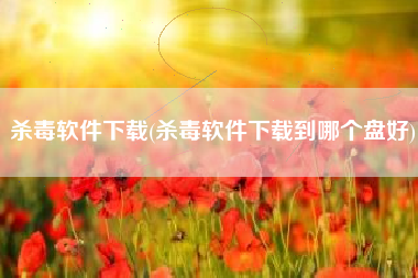 杀毒软件下载(杀毒软件下载到哪个盘好)