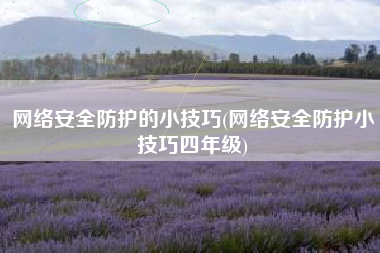 网络安全防护的小技巧(网络安全防护小技巧四年级)