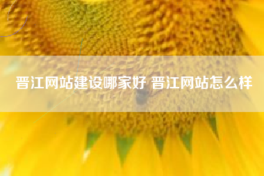 晋江网站建设哪家好 晋江网站怎么样