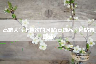 高端大气上档次的网站(高端品牌网站有哪些)