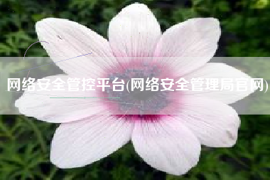 网络安全管控平台(网络安全管理局官网)