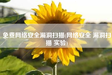免费网络安全漏洞扫描(网络安全 漏洞扫描 实验)