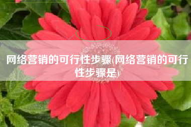 网络营销的可行性步骤(网络营销的可行性步骤是)