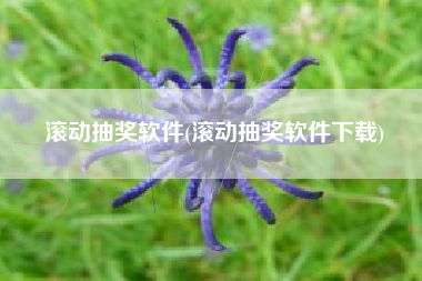 滚动抽奖软件(滚动抽奖软件下载)