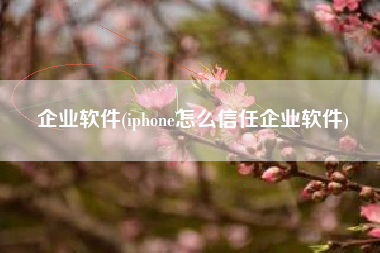 企业软件(iphone怎么信任企业软件)
