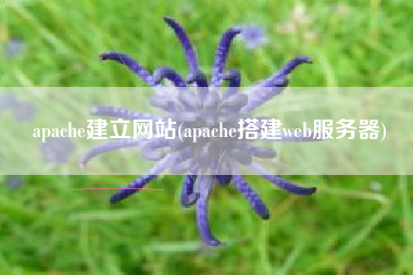 apache建立网站(apache搭建web服务器)