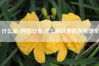 什么是it网络安全(什么叫计算机网络安全)