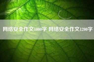 网络安全作文1000字 网络安全作文1200字