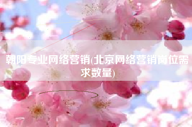 朝阳专业网络营销(北京网络营销岗位需求数量)