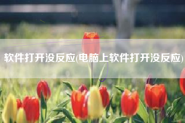 软件打开没反应(电脑上软件打开没反应)