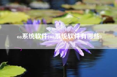 oa系统软件(oa系统软件有哪些)