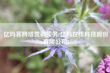 亿玛客网络营销实务(亿玛在线科技股份有限公司)