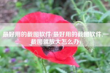最好用的截图软件(最好用的截图软件,一截图就放大怎么办)