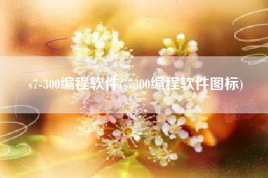 s7-300编程软件(s7300编程软件图标)