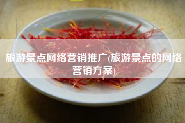 旅游景点网络营销推广(旅游景点的网络营销方案)