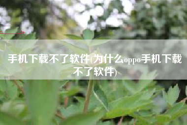 手机下载不了软件(为什么oppo手机下载不了软件)