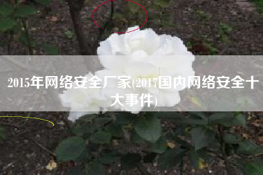 2015年网络安全厂家(2017国内网络安全十大事件)