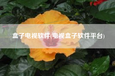 盒子电视软件(电视盒子软件平台)