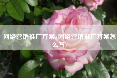 网络营销推广方案.(网络营销推广方案怎么写)